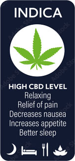 Indica